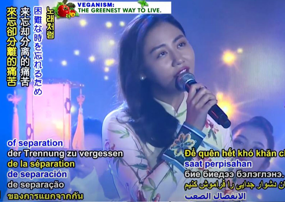Bình yên (Quốc Bảo) - Văn Mai Hương